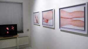 http://www.openprojects.info/files/gimgs/th-12_03_1020496_v2.jpg