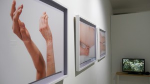 http://www.openprojects.info/files/gimgs/th-12_05_1020505_v2.jpg