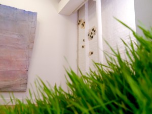 http://www.openprojects.info/files/gimgs/th-8__1020332.jpg